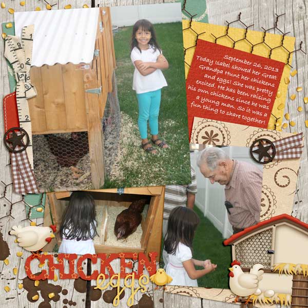 Chicken Eggs