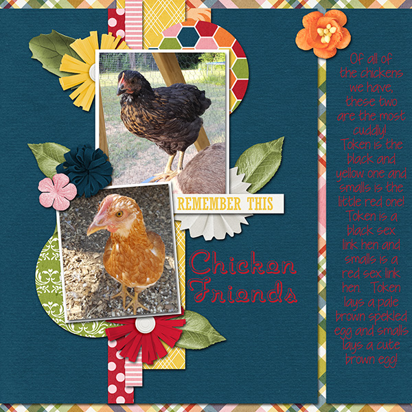 Chicken Friends