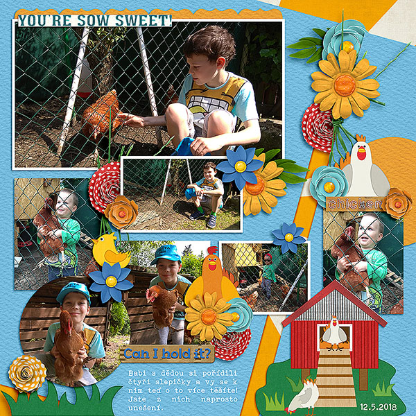 Chicken friends
