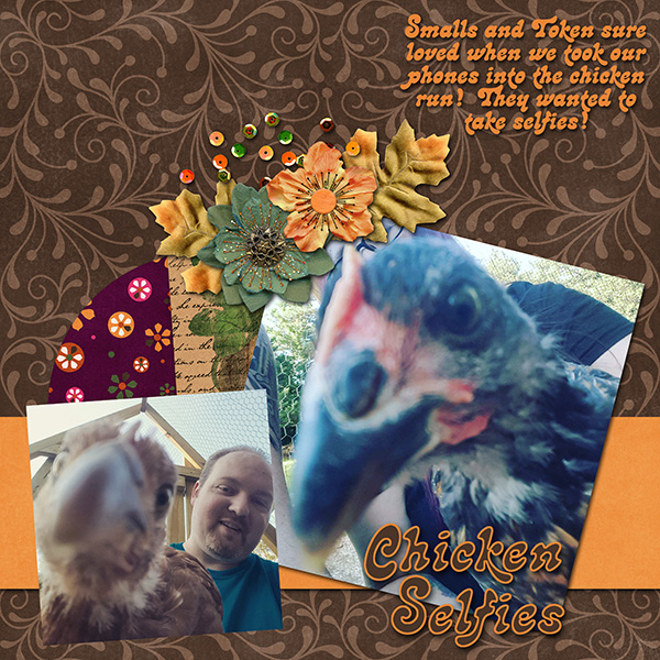 Chicken Selfies