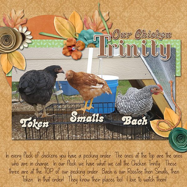 Chicken Trinity