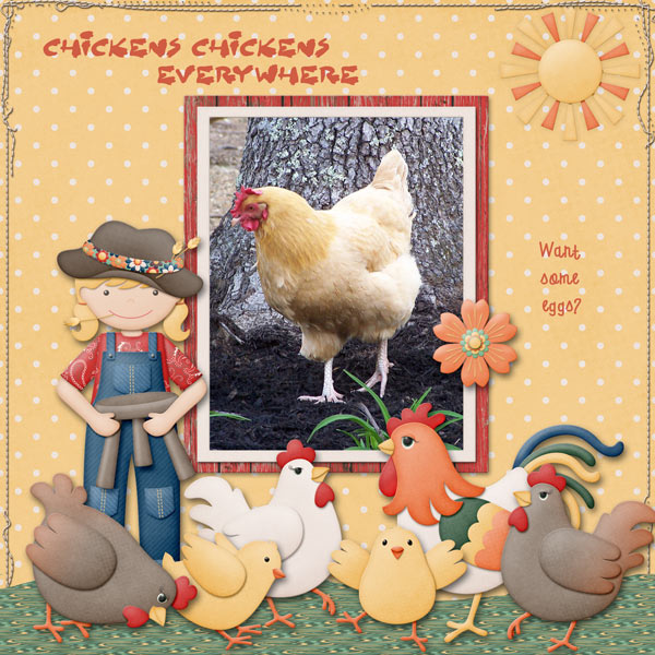 Chickens Everywhere