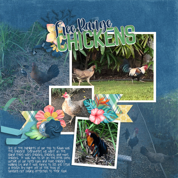 Chickens Gone Wild
