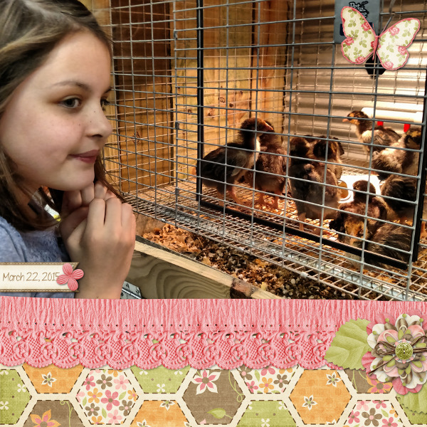 Chickens pg1
