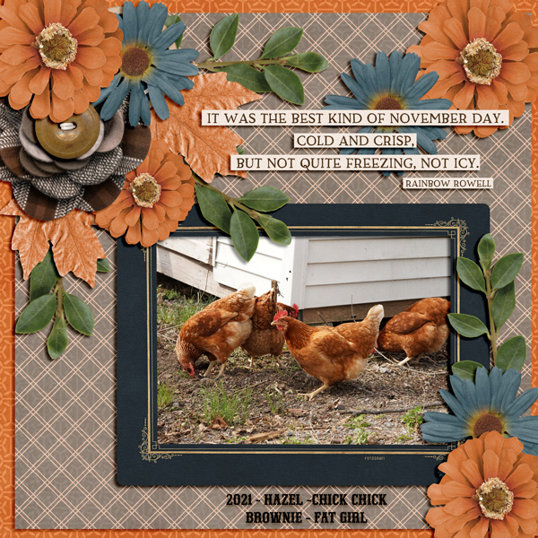 CHICKENS-PRINCE-11-24