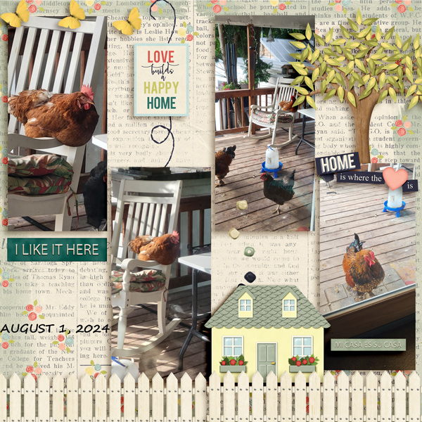 CHICKENS-WEEK 31 8-24