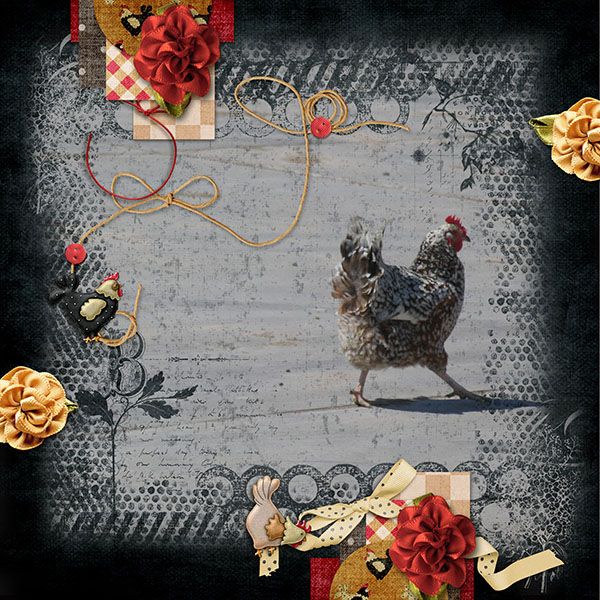 Chickens!