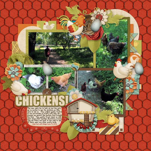 Chickens!