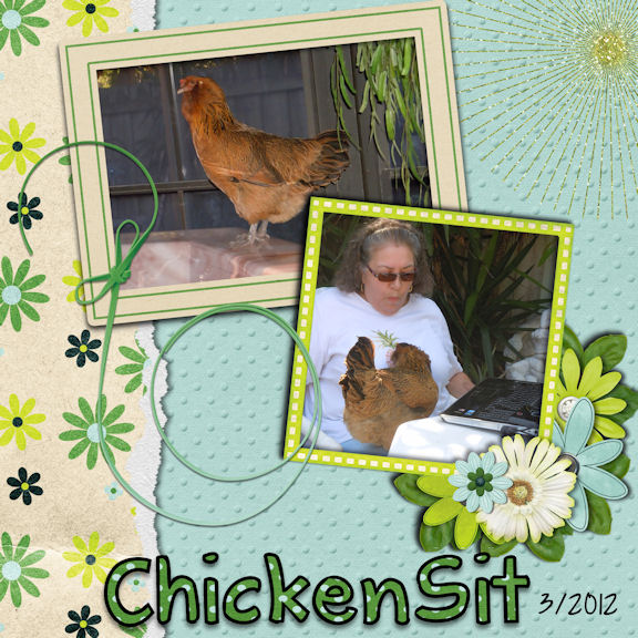 ChickenSit