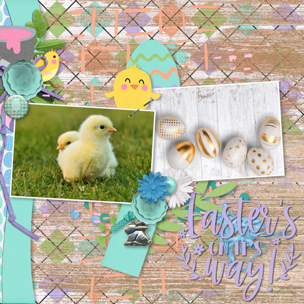 Chicks