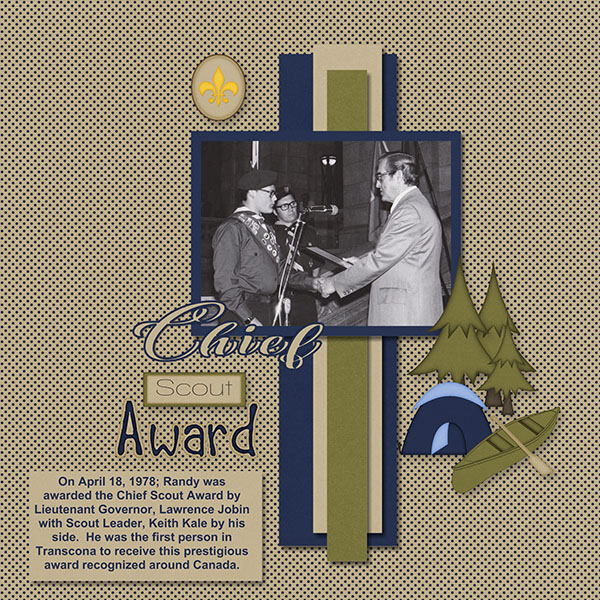 Chief Scout Award
