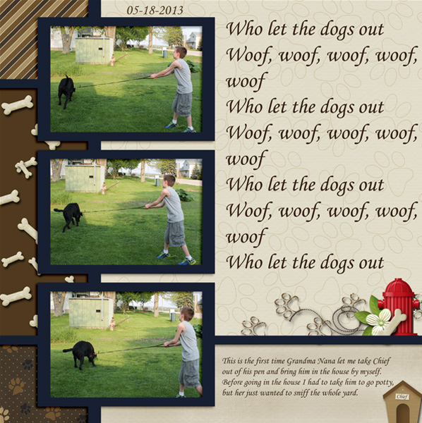 Chief_05-18-2013