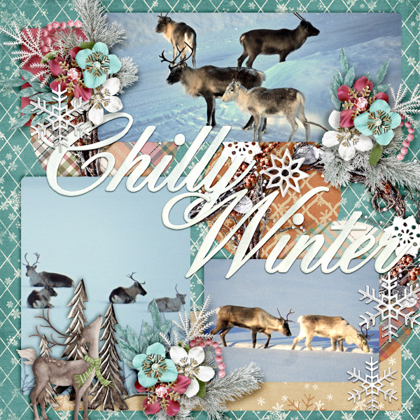 Chilly-winter