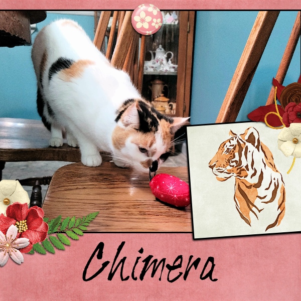 Chimera CWR March