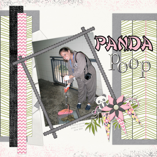 China - Panda Poop