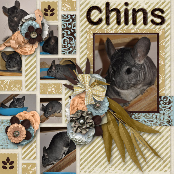 Chins