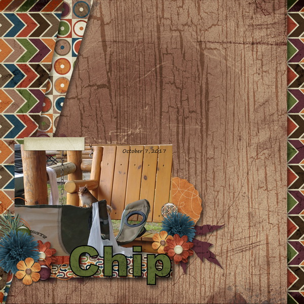Chip