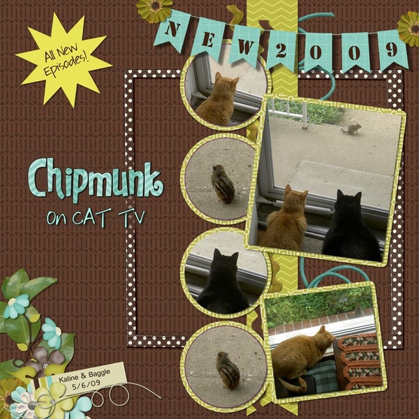 Chipmunk on CAT TV