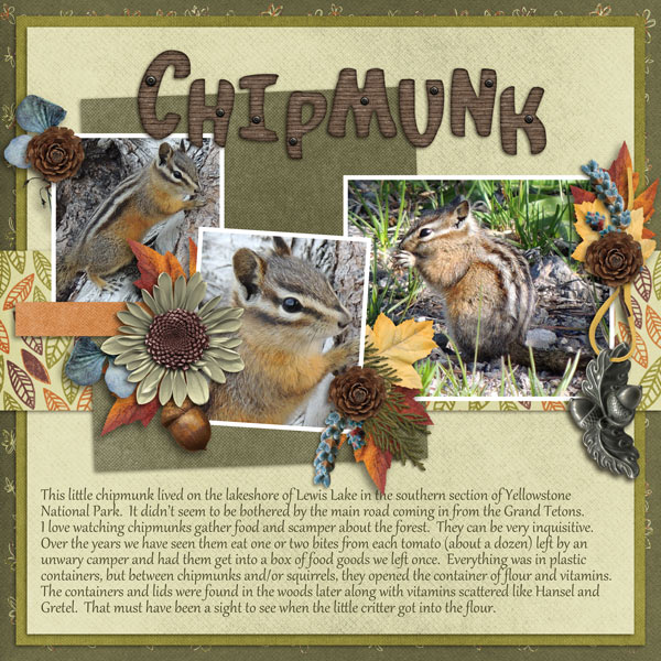 Chipmunk