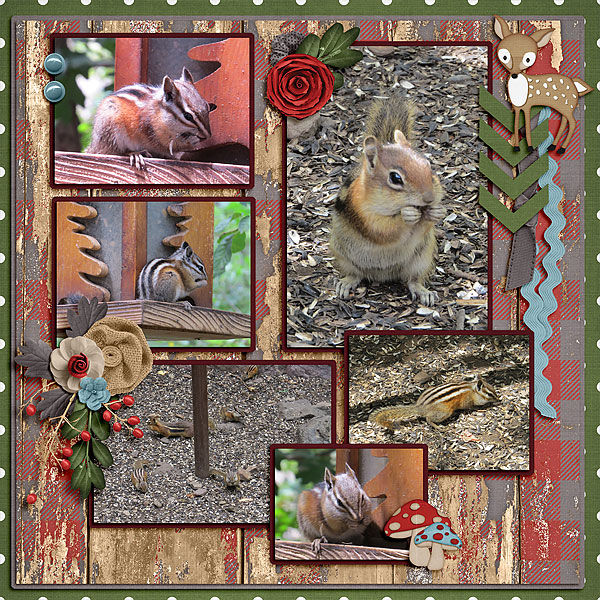 Chipmunks