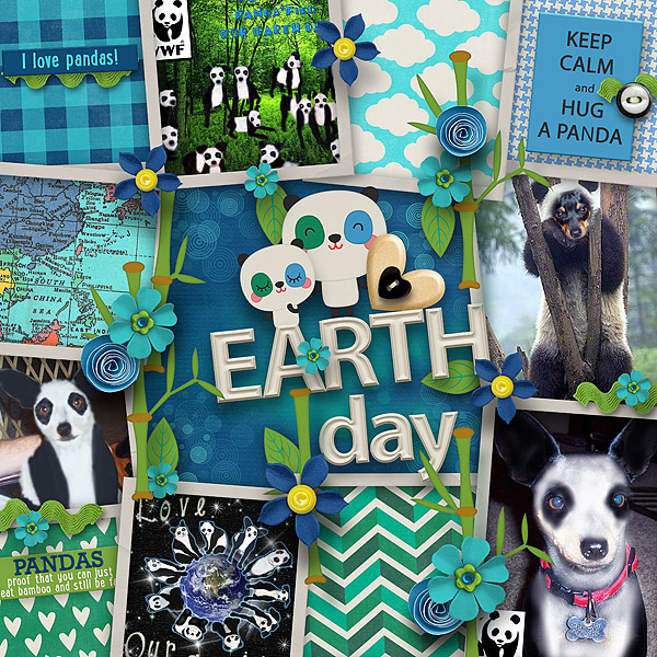Chiqi Earth Day