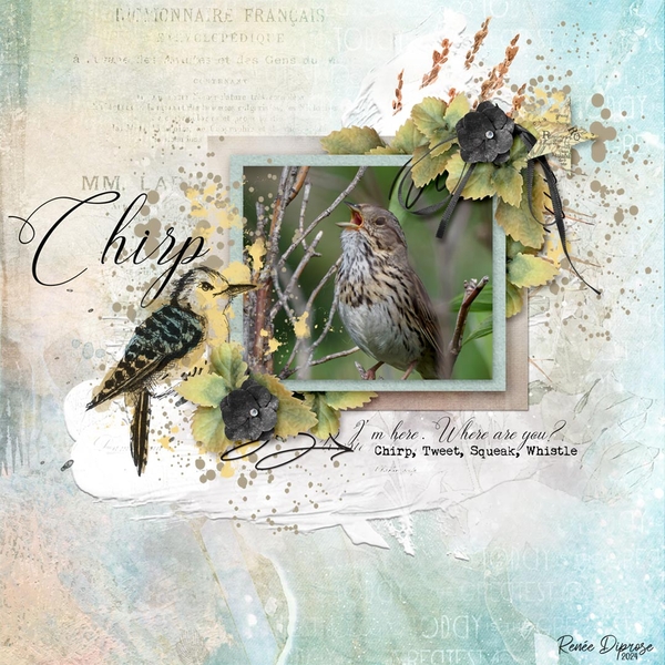 Chirp