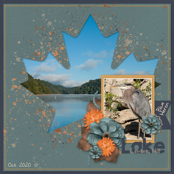 CHL Leaf