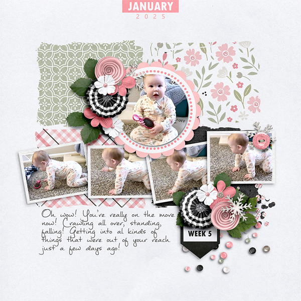 Chloe in January 4