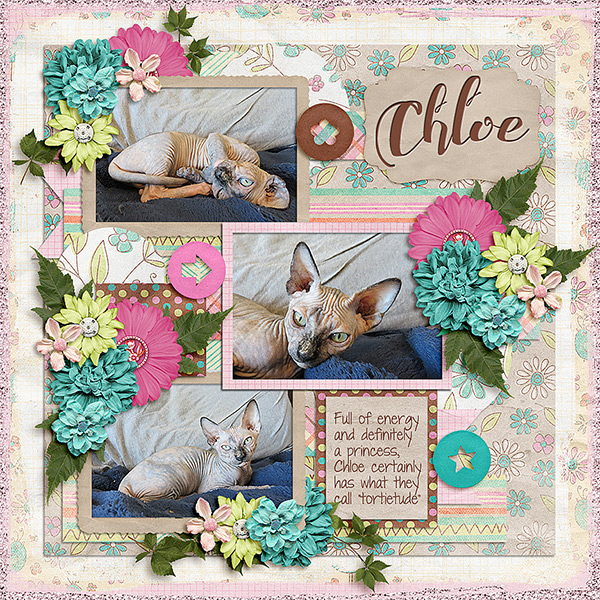 Chloe