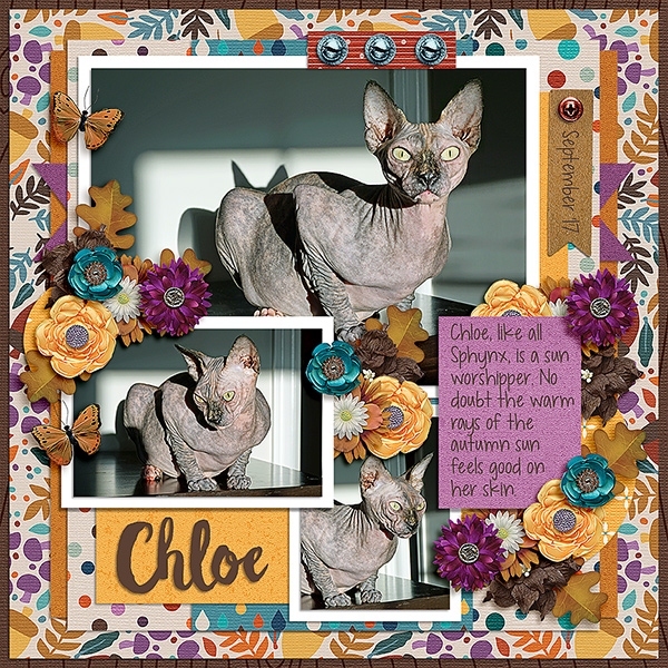 Chloe