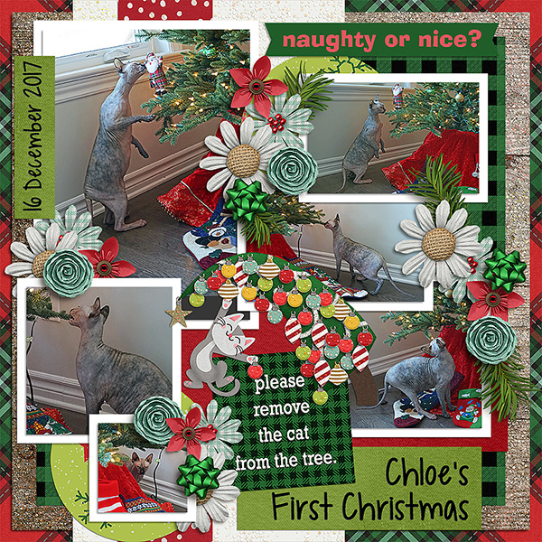 Chloe's First Christmas