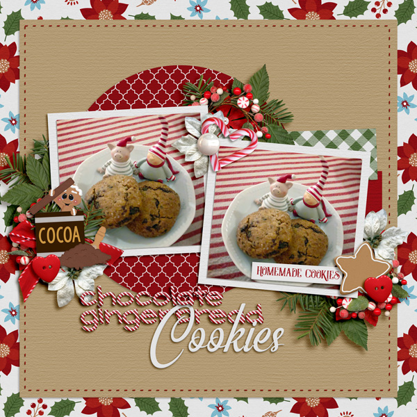 Chocolate Gingerbread Cookies