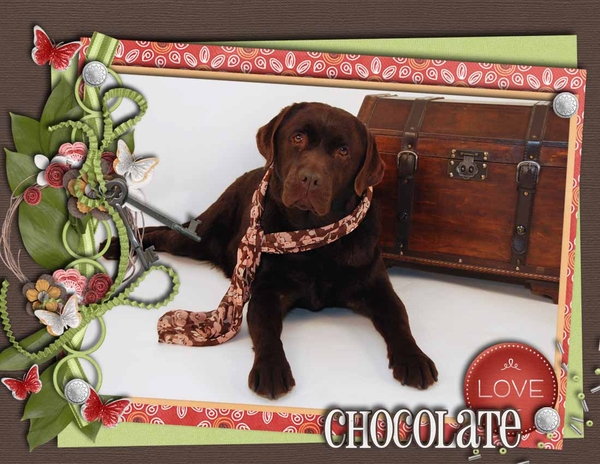 Chocolate Love