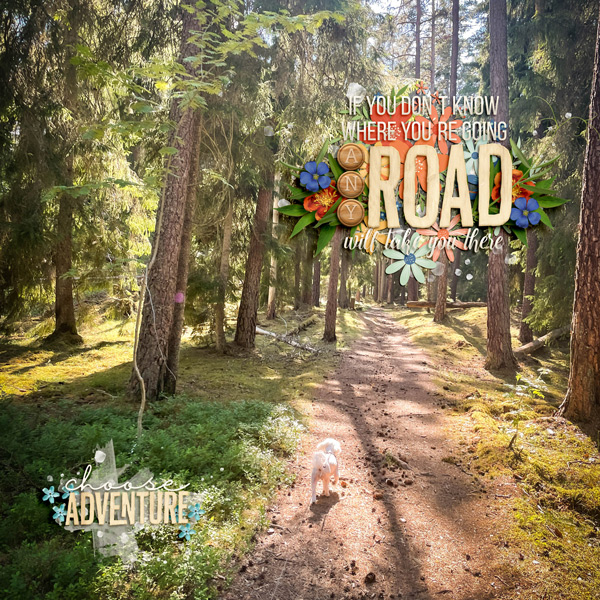Choose Adventure