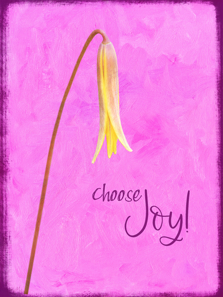 Choose Joy!