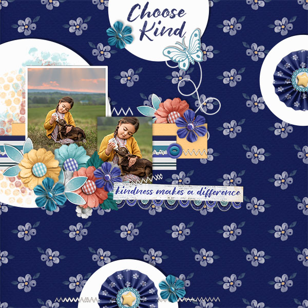 Choose Kind June Buffet Challenge