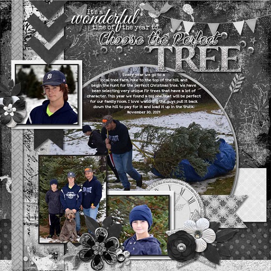 Choose the perfect Tree