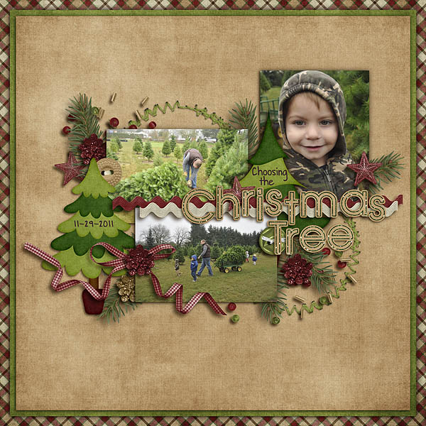 Choosing the Christmas Tree