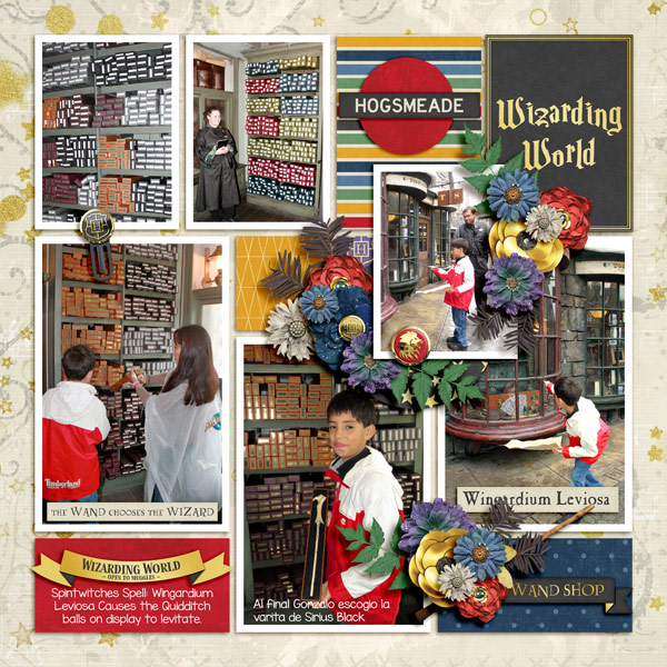 choosing the wand