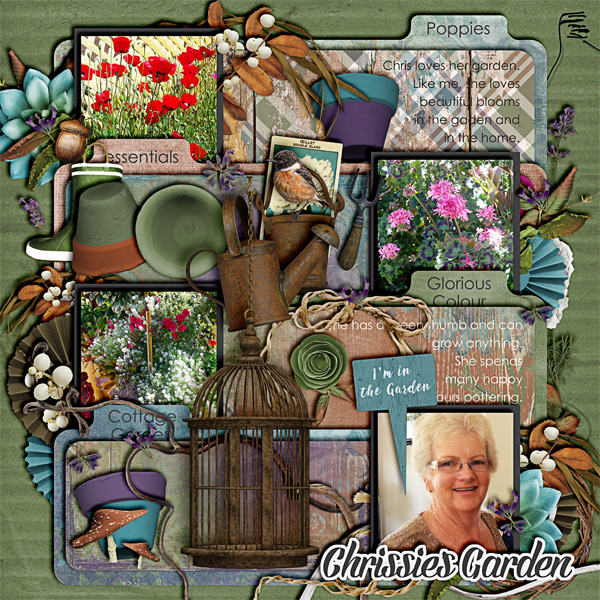 Chrissie's Garden