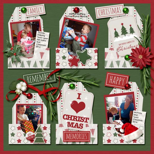 Christmas 2016 grandkids