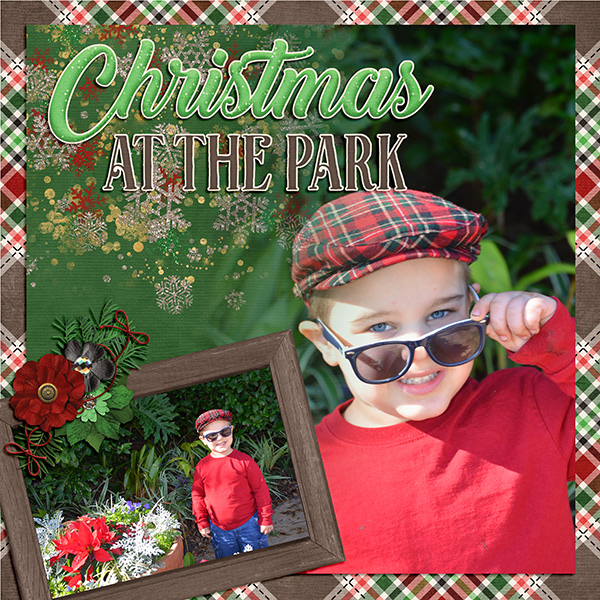 Christmas at the Park