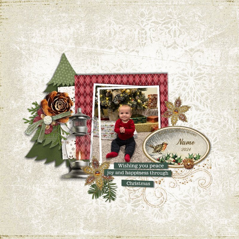 Christmas Baby.jpg