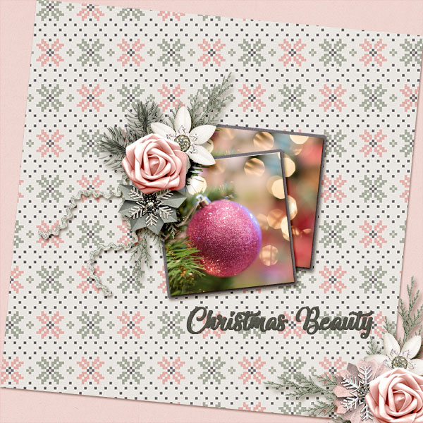 Christmas Beauty