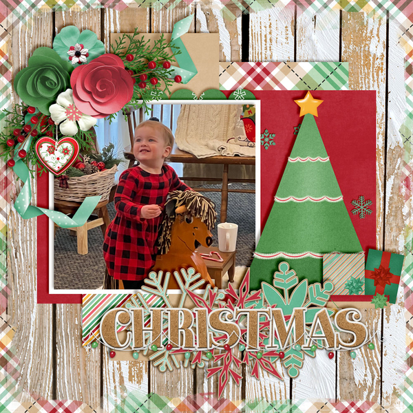 Christmas-Beauty2