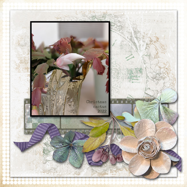 Christmas Cactus - use it all challenge