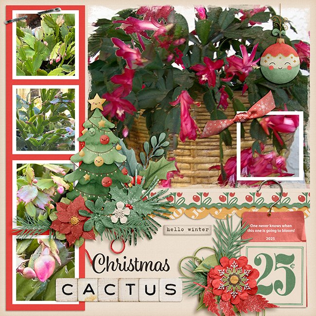 Christmas-CactusMFish_ArtsyBlocks_Merry04_03-copy.jpg
