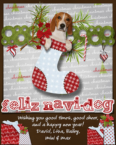 Christmas Card 2010