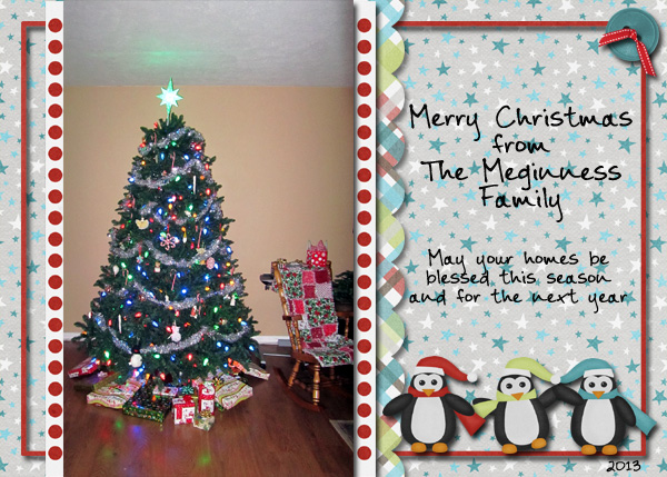 Christmas Card 2013