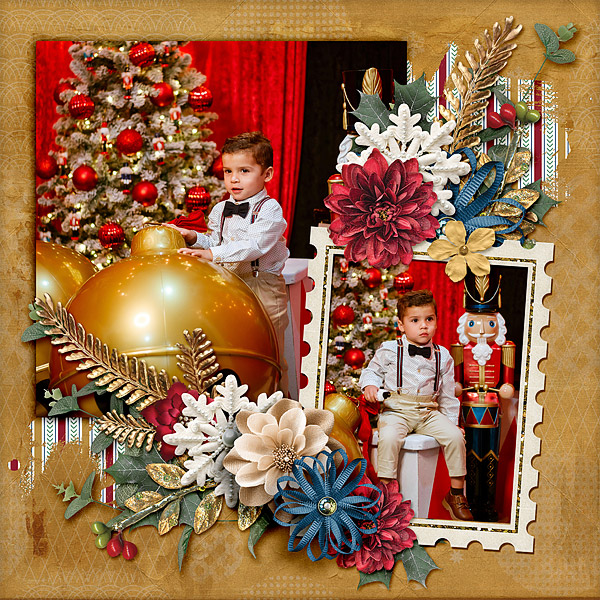 Christmas Card Photos